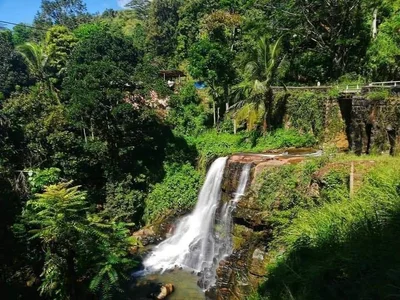 Beragala - Photo 4