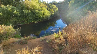 Corvallis - Photo 2