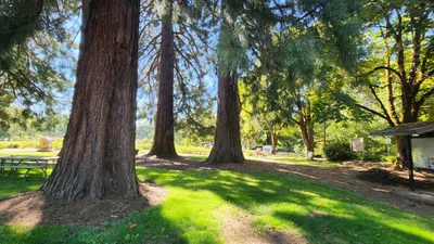 Corvallis - Photo 3