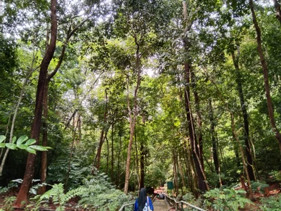 Pulau Dayang - Photo 2