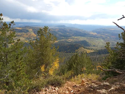 Cedar City - Photo 3