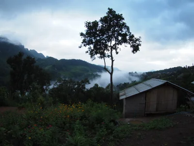 Chiang Dao - Photo 5