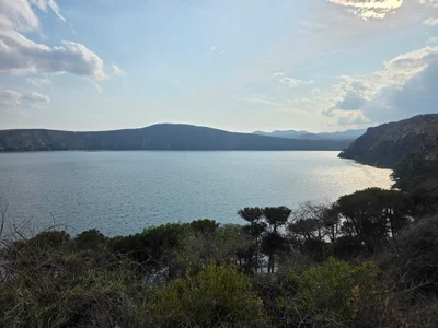 Chala - Photo 2