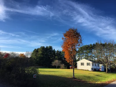 Keene - Photo 5