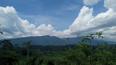 Ahuano - Photo 4