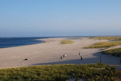 Chatham - Photo 4