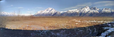 Palmer - Photo 5