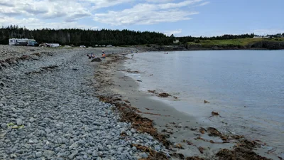 Bonavista - Photo 4