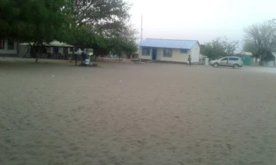 Kongola - Photo 4