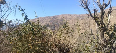 Kuthar - Photo 3