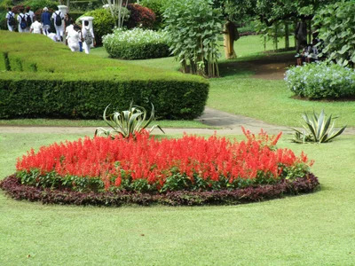 Peradeniya - Photo 3