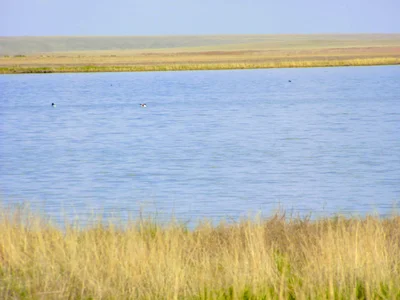 Korgalzhyn - Photo 4