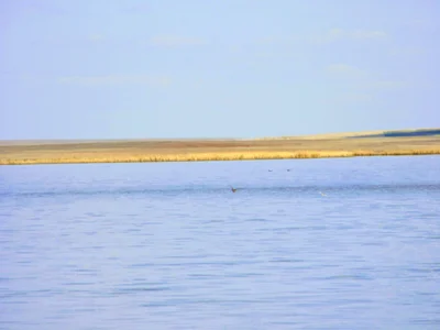 Korgalzhyn - Photo 5