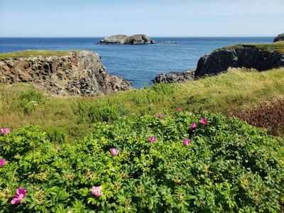 Elliston - Photo 3