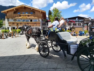 Leavenworth - Photo 2