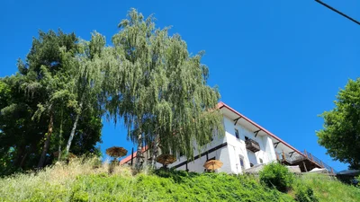 Leavenworth - Photo 3