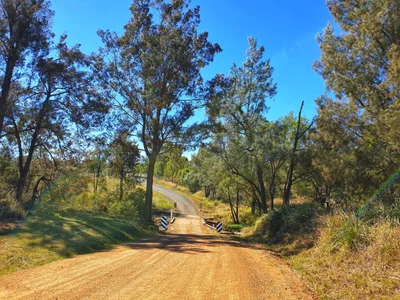 Mount Alford - Photo 2