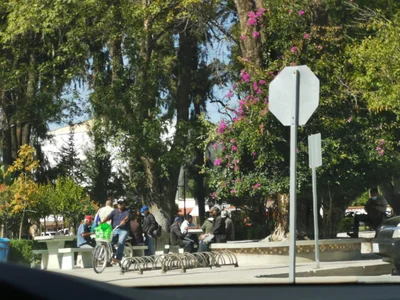 Tecate - Photo 3