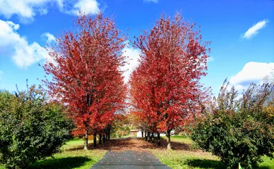 Coatesville - Photo 2