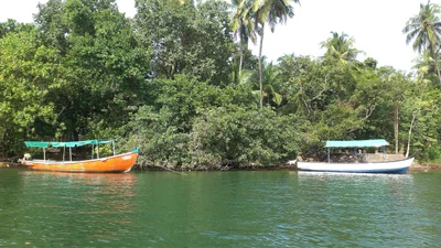 Tarkarli - Photo 4