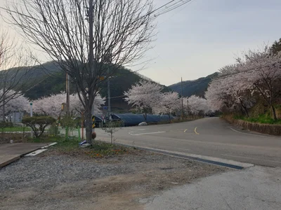 Cheongyang-gun - Photo 4