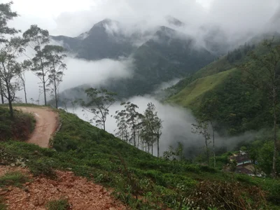 Ohiya - Photo 2