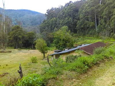 Ohiya - Photo 5