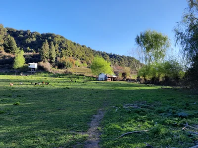 Curicó - Photo 4