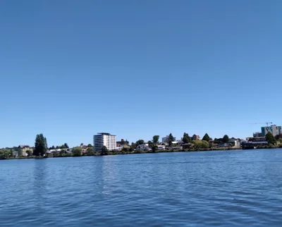 Valdivia - Photo 5