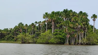 Tambopata - Photo 2