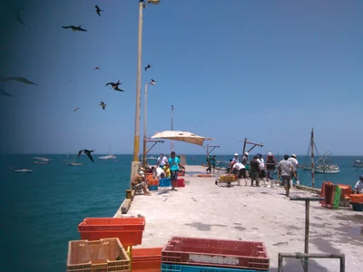 Los Órganos - Photo 4