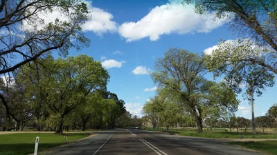 Maffra - Photo 2