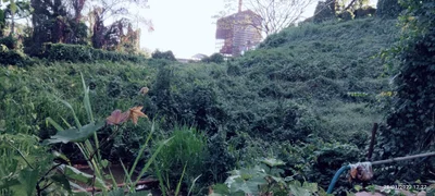 Punalur - Photo 4