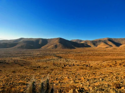 La Higuera - Photo 3