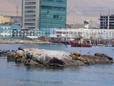 Iquique - Photo 4