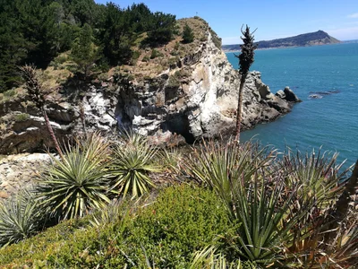 Lebu - Photo 4