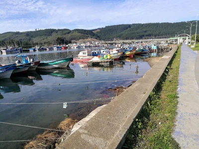 Lebu - Photo 5