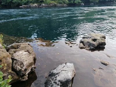 Río Bueno - Photo 2