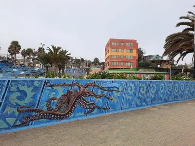 El Quisco - Photo 3