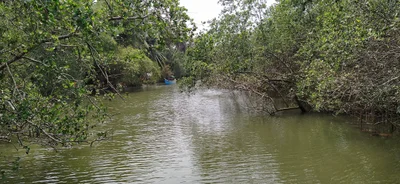 Kasarkod - Photo 4