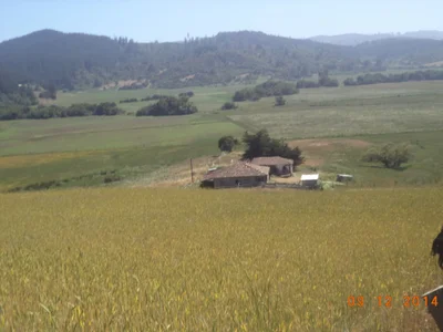 Chanco - Photo 2