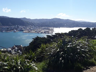 Wellington - Photo 2