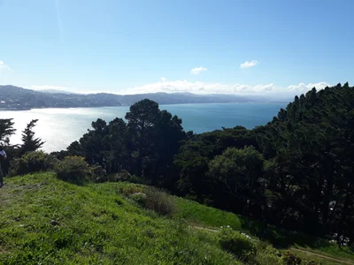 Wellington - Photo 3