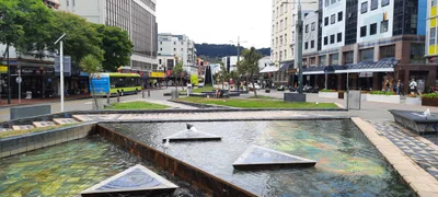 Wellington - Photo 4
