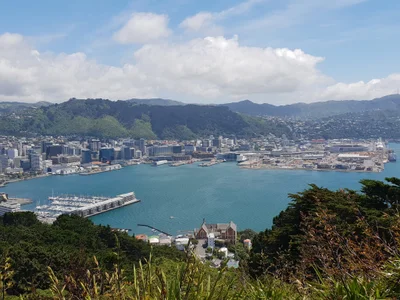 Wellington - Photo 5