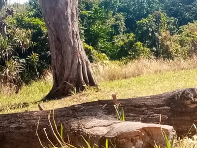 Central Province - Photo 2