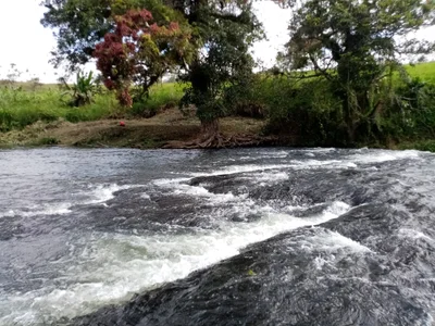 Central Province - Photo 4