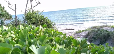Central Province - Photo 5