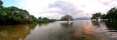 Kandalama - Photo 3