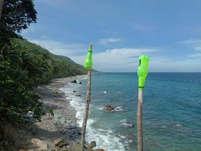 Abra de Ilog - Photo 2